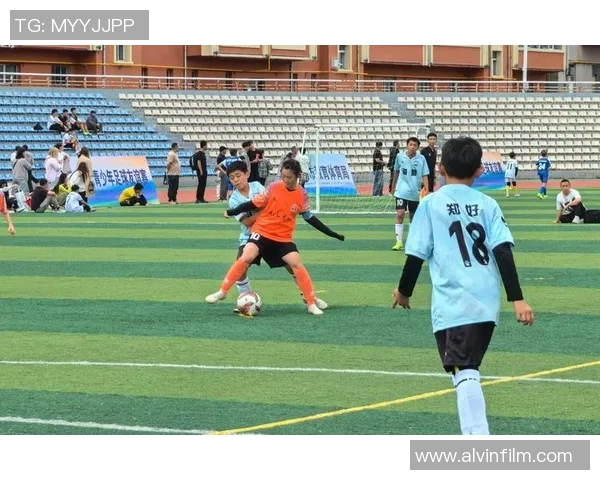 足球明星赴朝鲜展现友谊与体育精神引发全球关注与热议